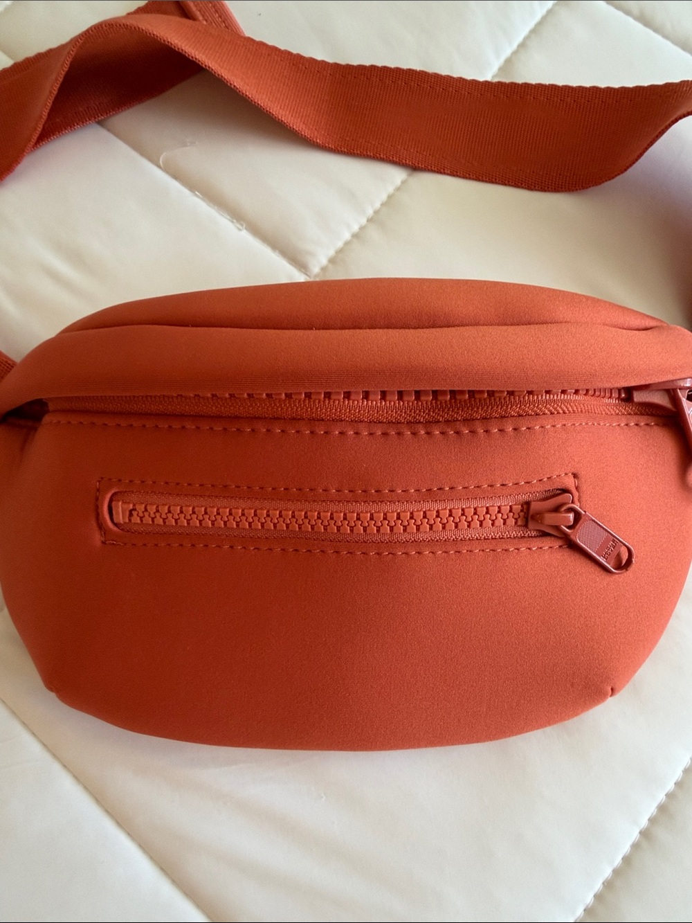 Dagne Dover Terracotta Crossbody Belt Bag